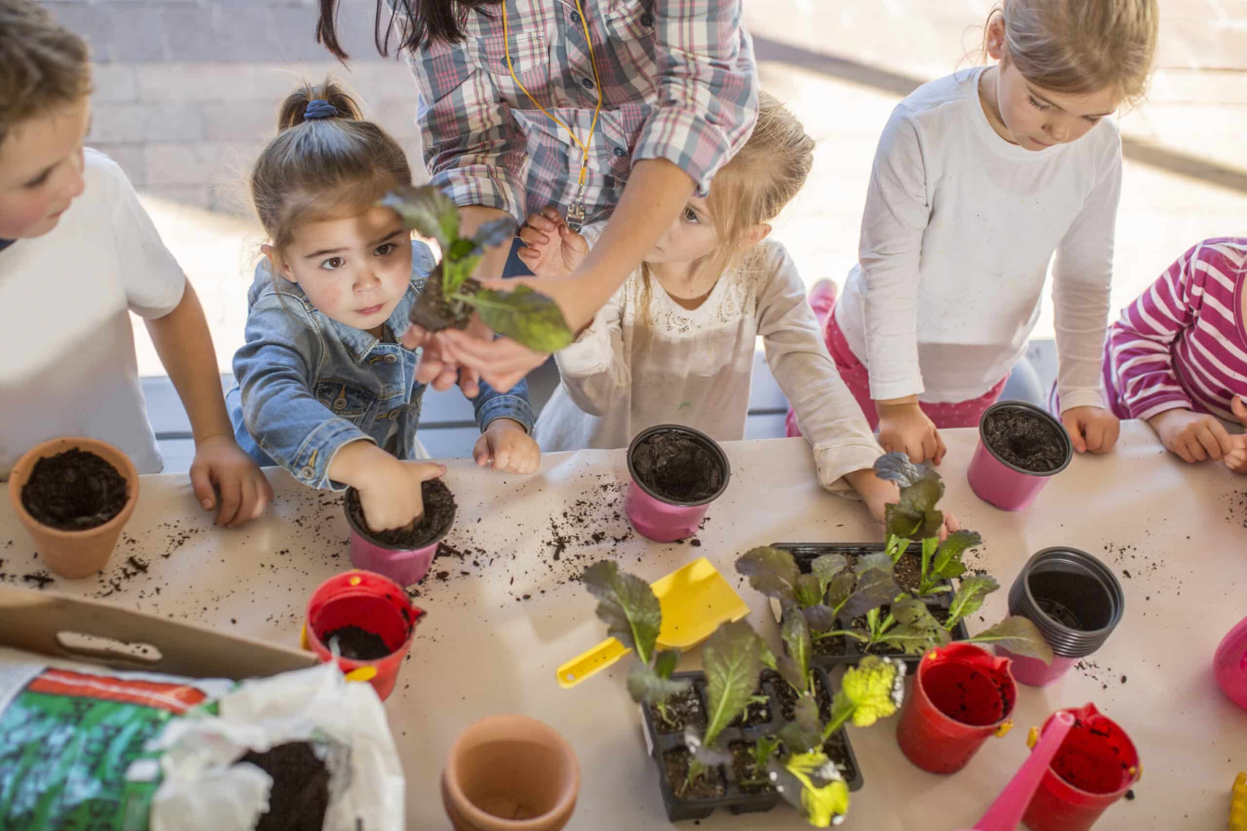 Kids learning about gardening in their early education program in Ellis County, TX.